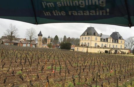 Cueillette de Servigny