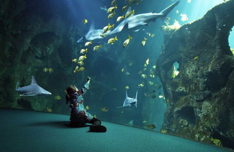 Aquarium La Rochelle