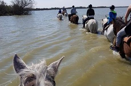Promenade du Pont de Gau