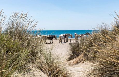 L'Ecurie de l'Auberge Cavaliere du Pont des Bannes