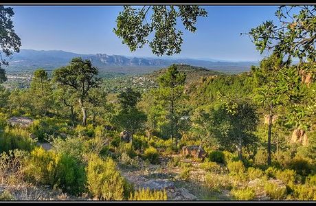 Bureau d'Information Touristique de Bagnols-en-Foret