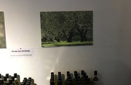 Domaine Stalenq Huile D'Olive