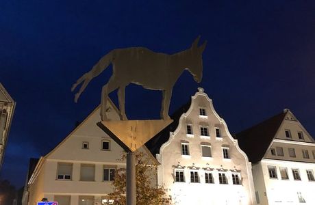 Des Esels Schatten