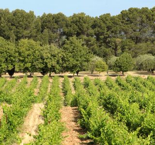 Bureau d'Information Touristique de Villecroze
