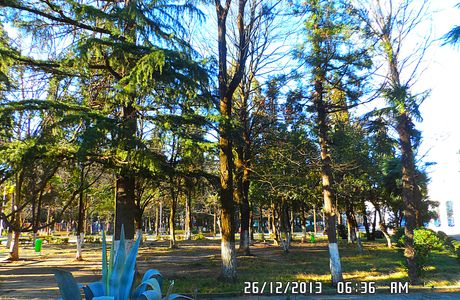 Youth Park