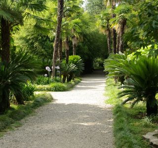 Sukhumi Botanical Garden