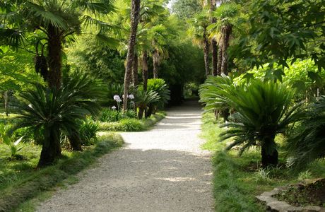 Sukhumi Botanical Garden