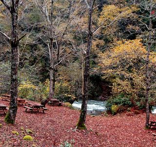 Mtirala National Park