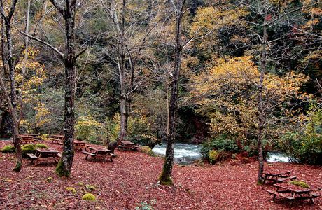 Mtirala National Park