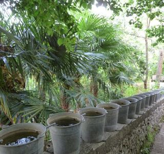 Jardin des Paradis