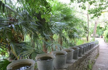 Jardin des Paradis