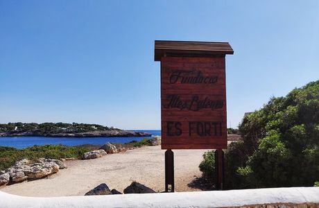 Es Forti