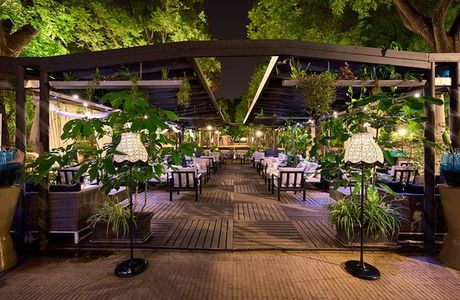 Premier Garden Cocktail Bar