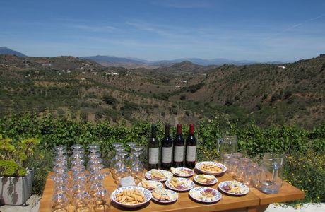 Vina & Bodega Remsamen