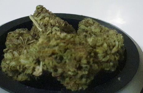 Asoc Green Planet Cannabis Club Barcelona