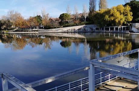 Parque de la Laguna del Carrizal