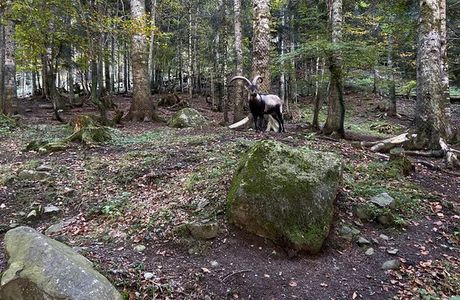 Aran Park