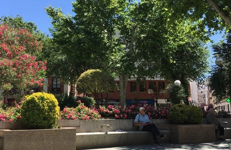 Plaza del Pilar