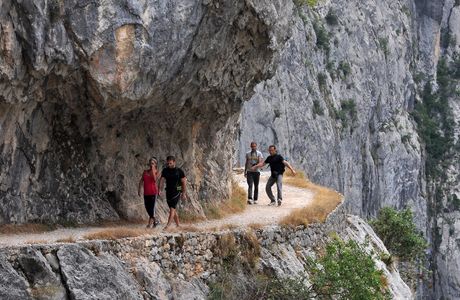 Ruta de los Nogales Centenarios