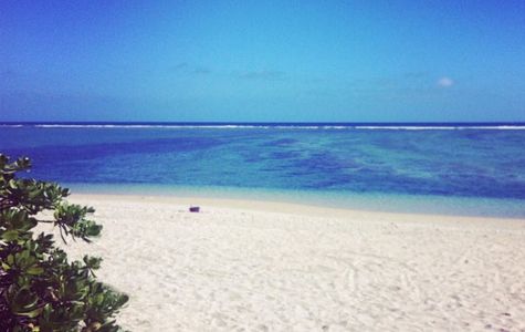 Plage de La Saline les Bains 1