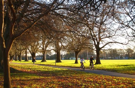 Hagley Park