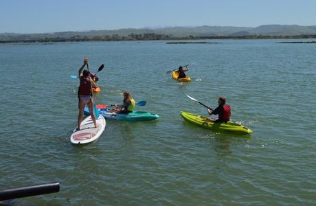 Ahuriri Estuary Walk