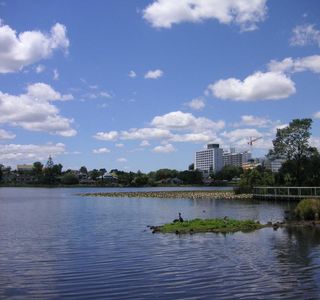 Hamilton Lake Domain