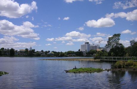 Hamilton Lake Domain