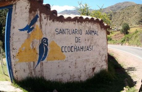 Santuario Animal de Cochahuasi