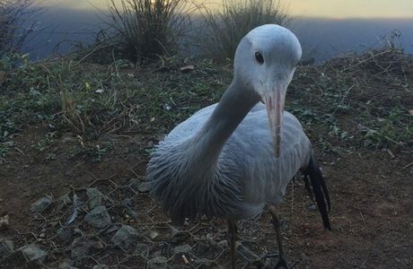 Austin Roberts Bird Sanctuary