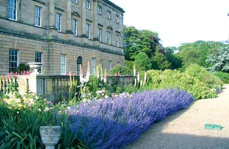 Benvie Garden