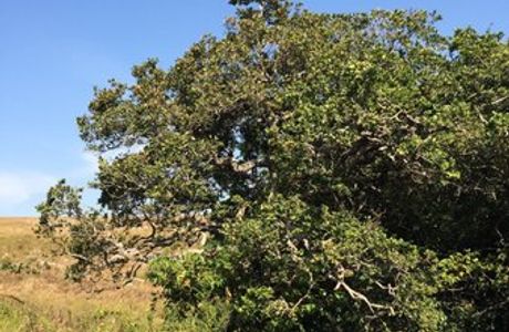 Umtamvuna Nature Reserve