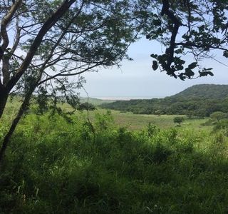 Amatikulu Nature Reserve