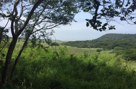 Amatikulu Nature Reserve