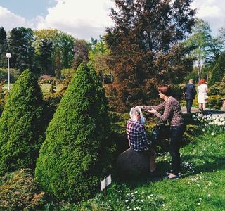 Botanical Garden of the Baltic Federal I. Kanta University