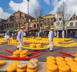 Cheese Market