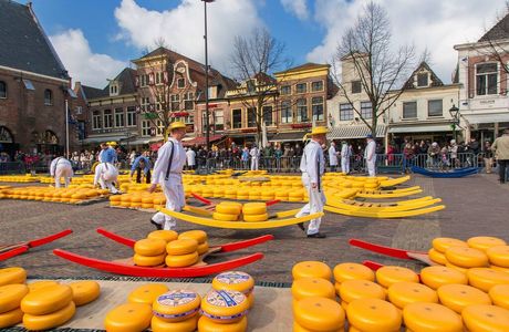 Cheese Market