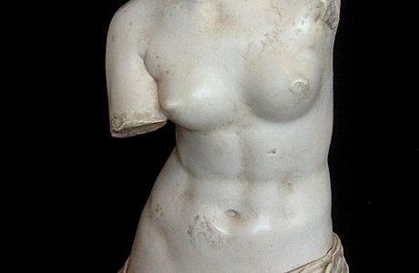 Venus