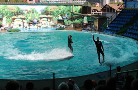 Adler Dolphinarium