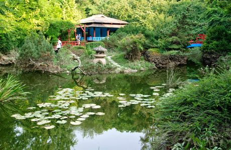 Botanical Garden