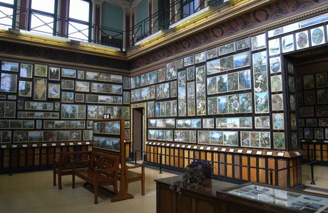 Marianne North Gallery