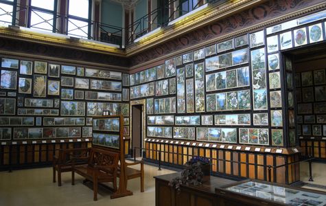Marianne North Gallery 1