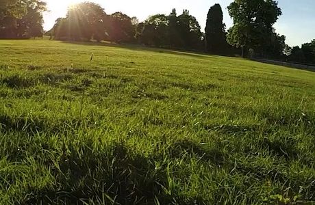 Danson Park