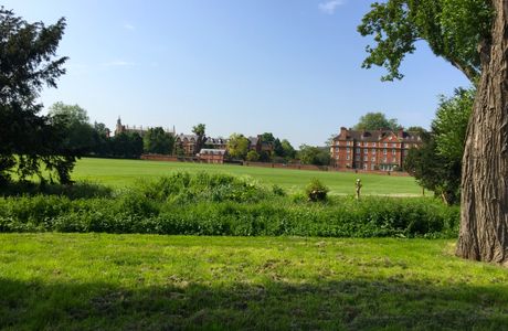 Eton Walkway