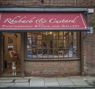 Rhubarb And Custard Photo Gallery