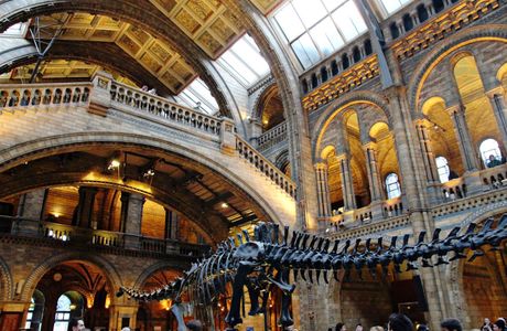 Natural History Museum