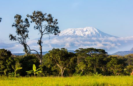 Tanzania Transfers