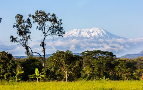 Tanzania Transfers 1