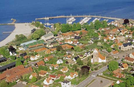 Bastad Islandshastar