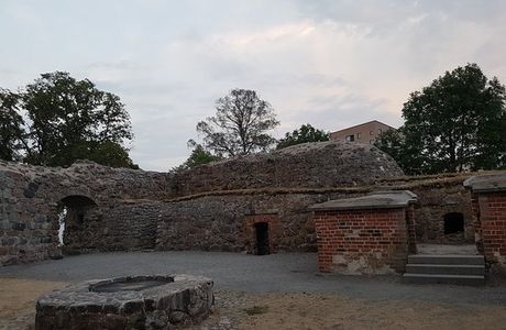Stegeholms Slottsruin